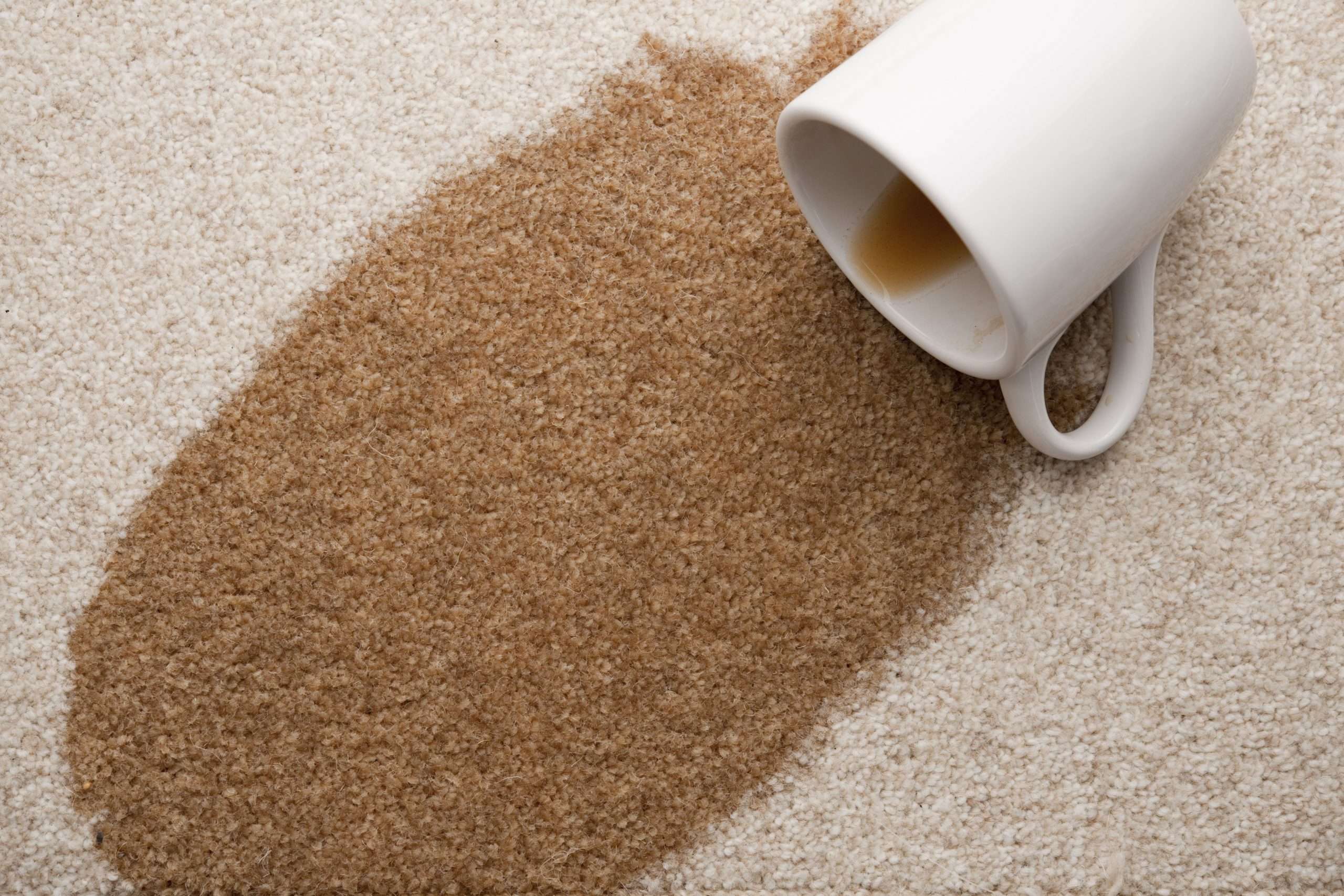 3 Easy Steps to Remove Coffee Stains From Carpet