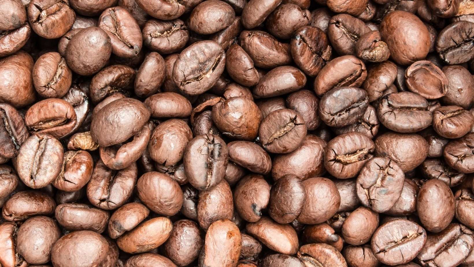 6 Big Reasons to Pick Up Wholesale Green Coffee Beans for ...