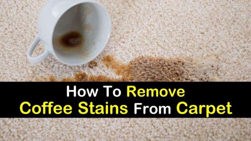 6 Incredibly Easy Ways to Remove Coffee Stains from Carpet ...