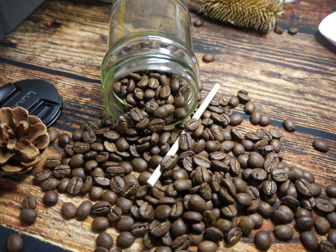 Arabica Coffee Beans â The Worldâs Favorite Caffeine Source