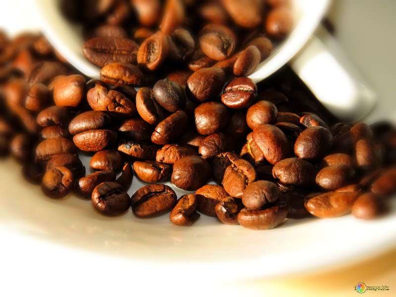 Best Coffee Beans To Buy on Amazon 2020 (Top