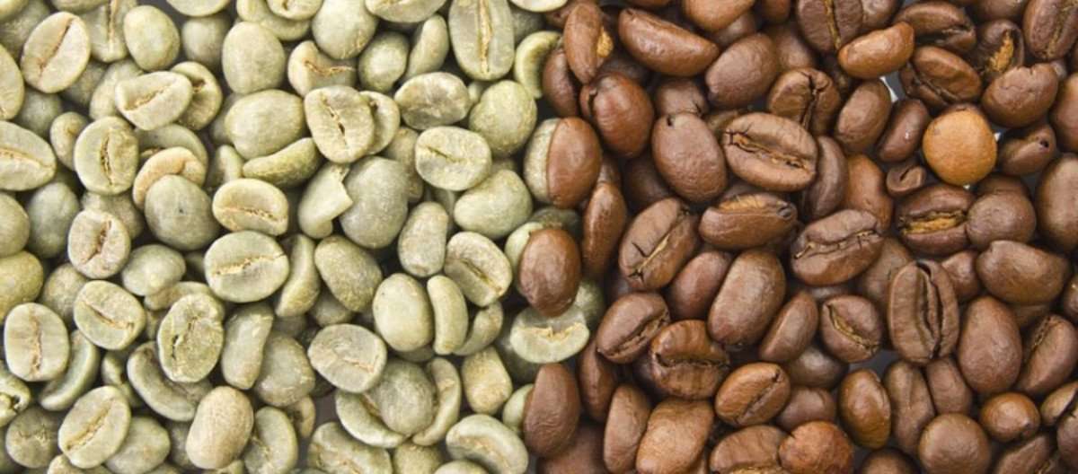 bulk coffee beans wholesale supplier