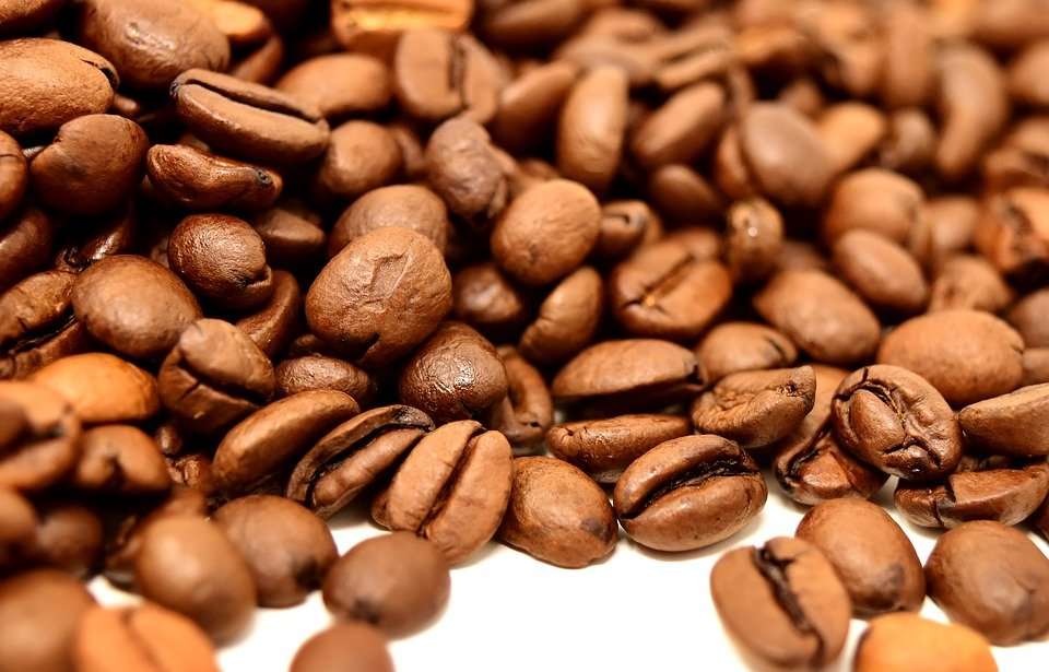 Buy Coffee Beans Wholesale Suppliers Offer