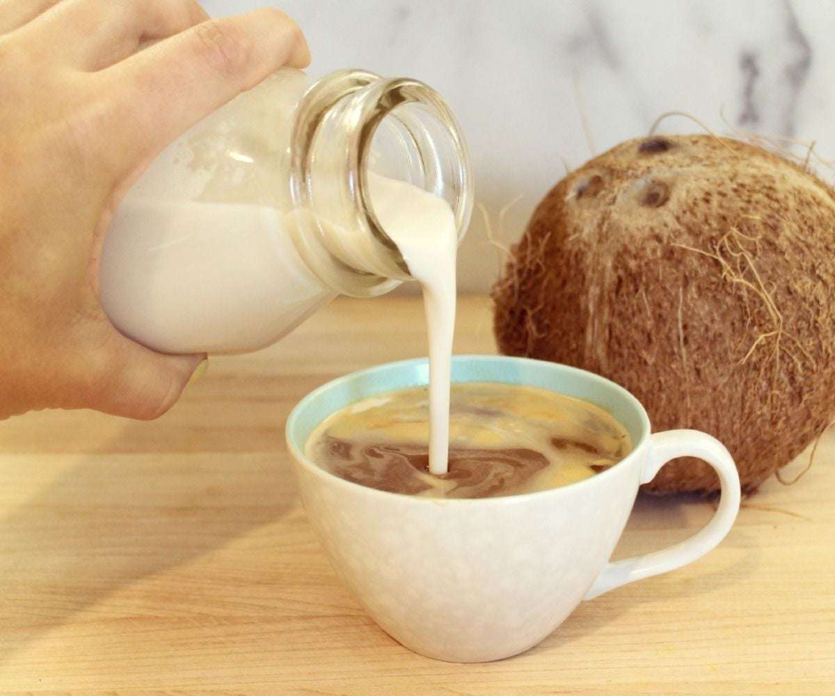 Coconut Coffee Creamer : 4 Steps (with Pictures ...