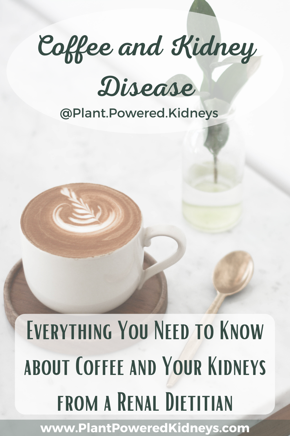 Coffee for Kidney Disease: The Pros and Cons