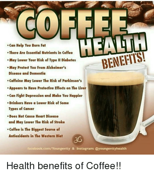 COFFEE HEALIN Can Help You Burn Fat There Are Essential ...