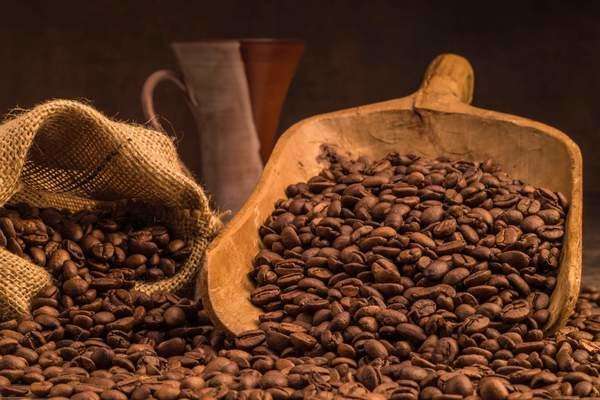 From the bean to the cup: Dachser Supports Brazilian Coffee Imports as ...
