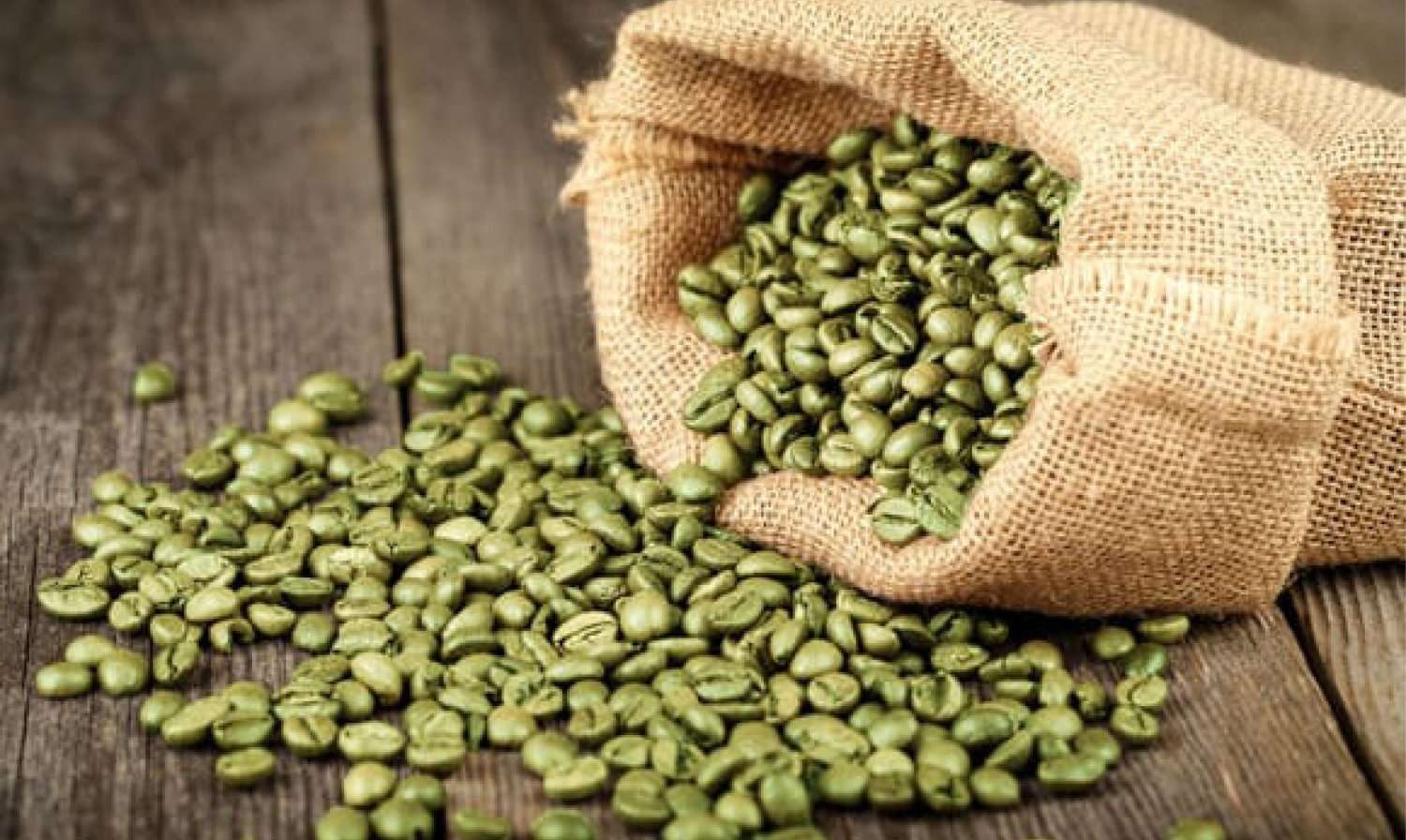 Green Coffee Bean Extract  All Ingredients Plus