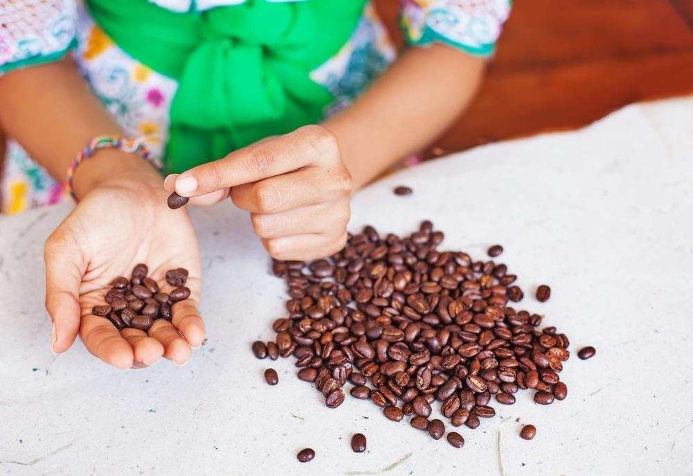 How to Choose, Buy, and Prepare The Best Coffee Beans ...
