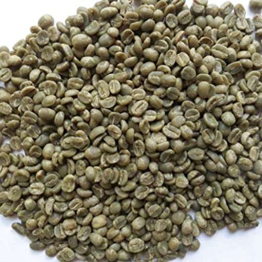 Raw Coffee Beans for sale