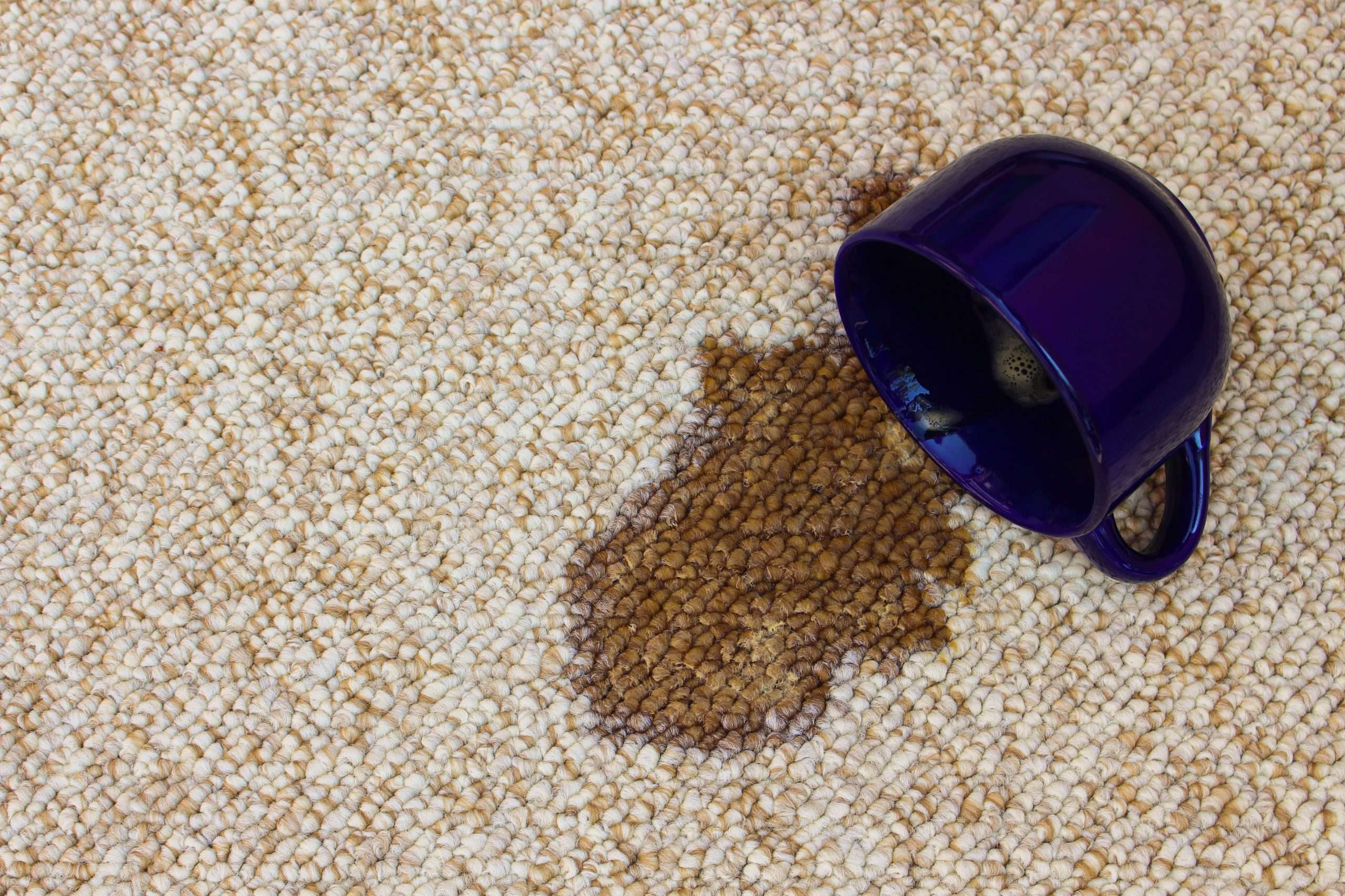 Remove Coffee Stains and Pet Stains from your Carpet