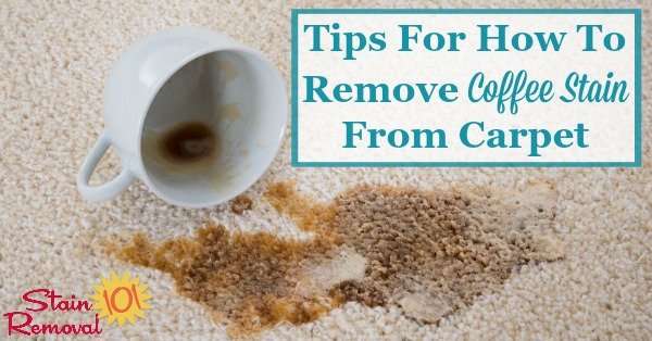 Tips For How To Remove Coffee Stain From Carpet When You ...