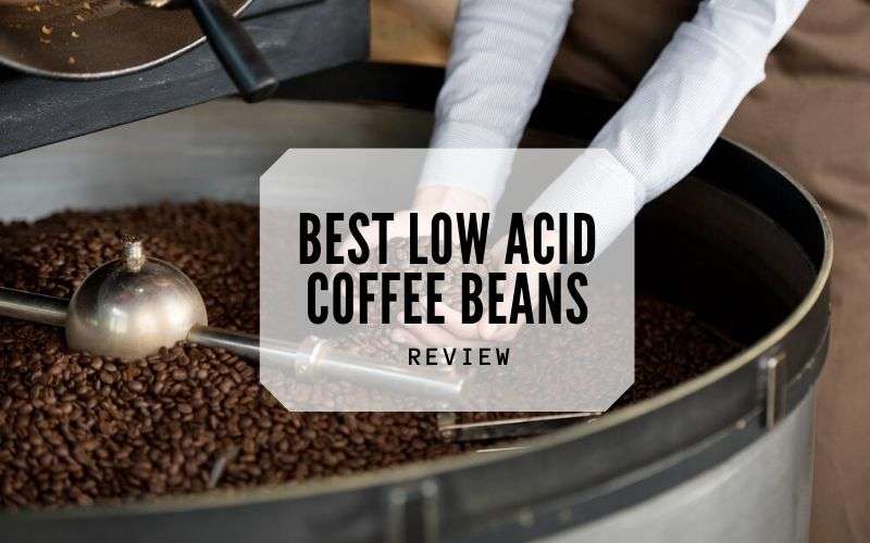 Top 10 Best Low Acid Coffee Beans To Go For In 2021 Reviews