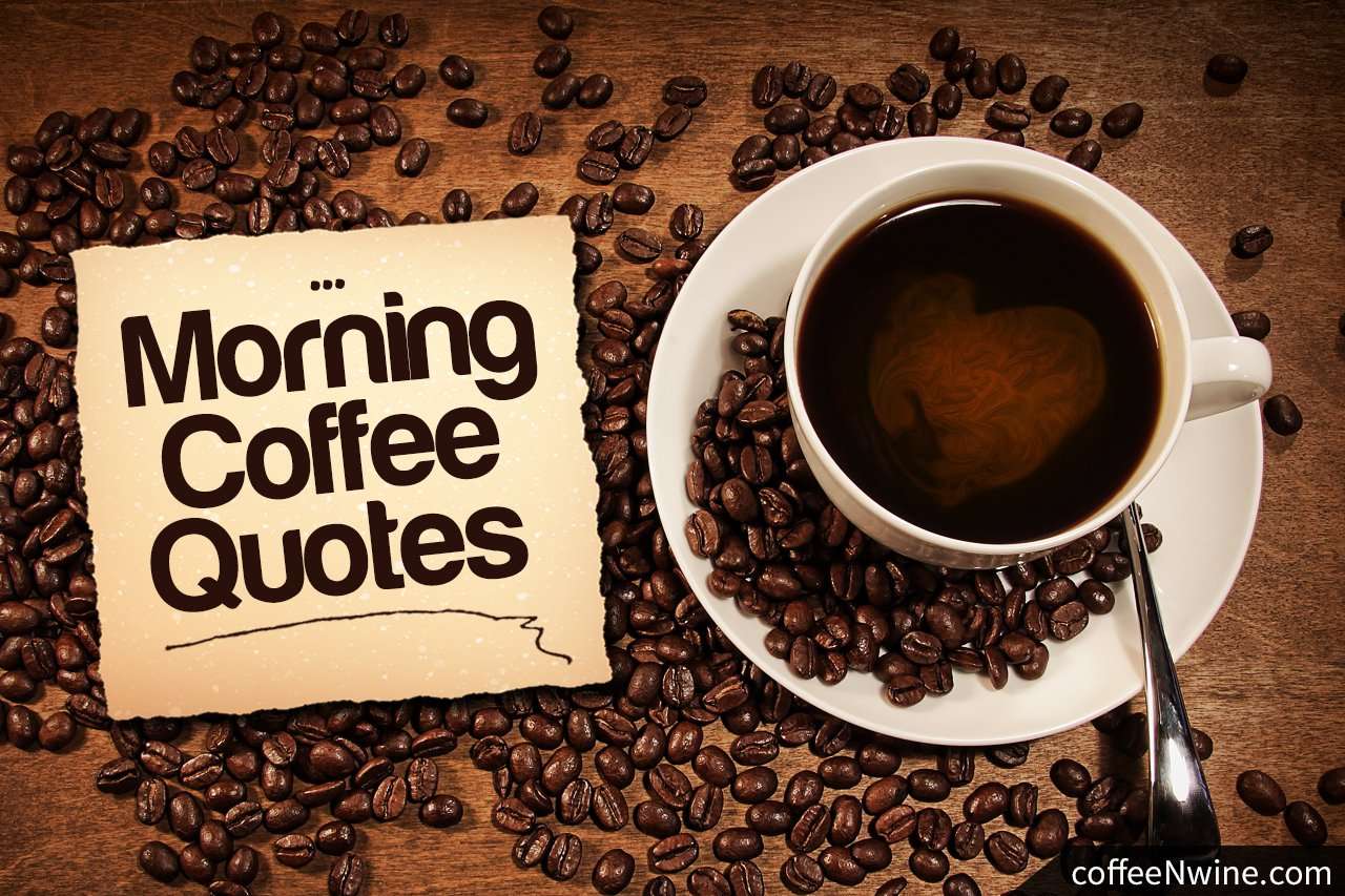 Top Morning Coffee Quotes That I Liked