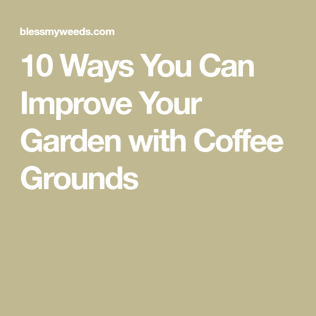 Using Coffee Grounds In The Garden: Tips, Benefits: Blessmyweeds.com ...